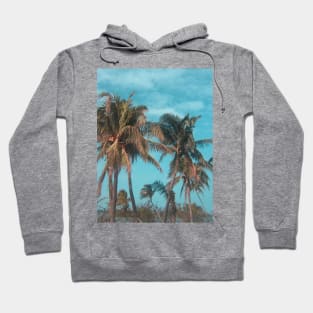 Exotic Palm Trees. Caribbean Hoodie